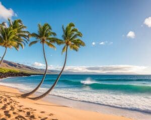 Maui: The Ultimate Island Getaway in Hawaii