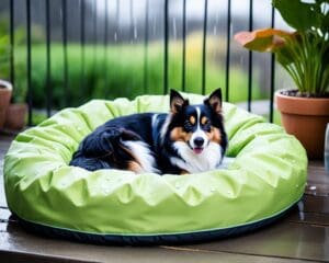 Outdoor Pet Beds: Comfortable and Weather-Resistant