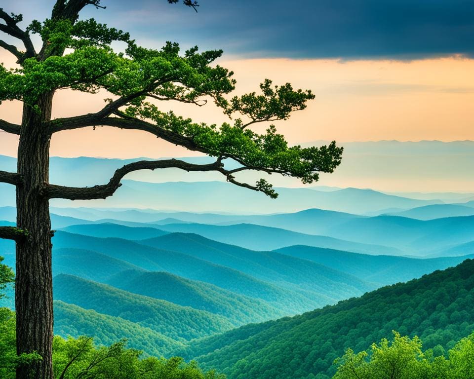 Blue Ridge Mountains in Shenandoah National Park