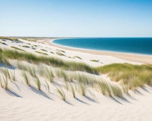 Nantucket: Exploring the Historic Island’s Beauty