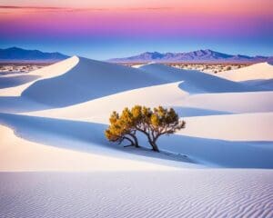 White Sands: New Mexico’s Glowing Desert Landscape